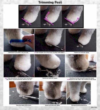 More on how I trim feet.